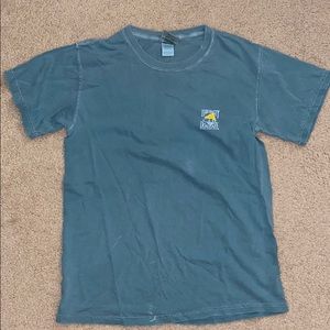 The Salty Dog short sleeve Tee in Light Green